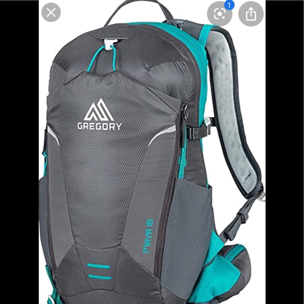 Gregory Maya 16 Daypack